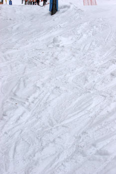 Picture of non-groomed ski terrain
